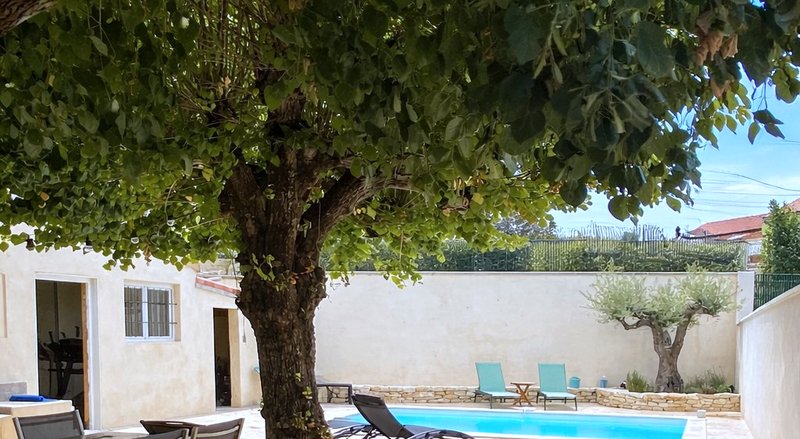 Terrasse, piscine et olivier